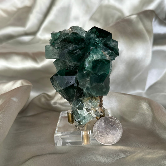 The Hidden Forest Pocket Fluorite