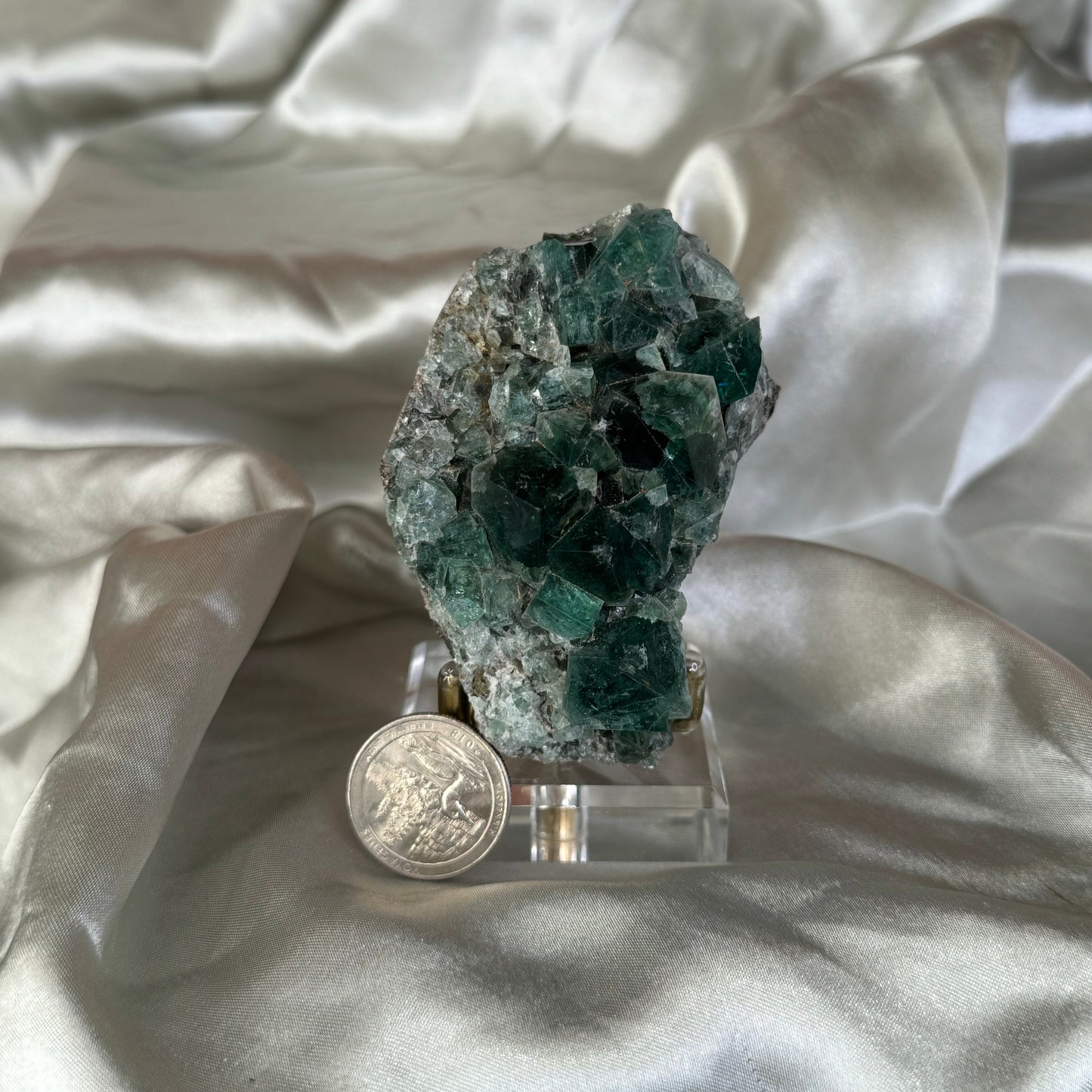 The Hidden Forest Pocket Fluorite