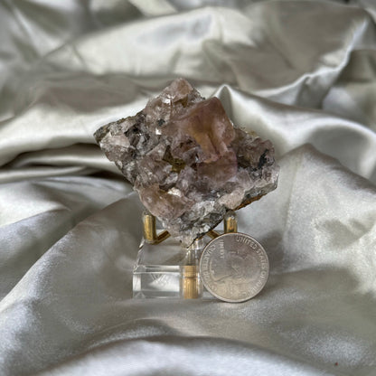 Harvest Pocket Fluorite