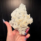 Prehnite Pseudomorph after Laumontite Crystals w/ Apophyllite