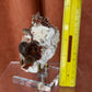 Spessartine Garnet with Smoky Quartz